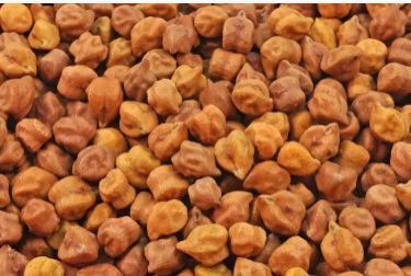 Organic Brown Gram