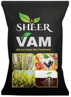 4kg VAM Mycorrhizal Bio Fertilizer