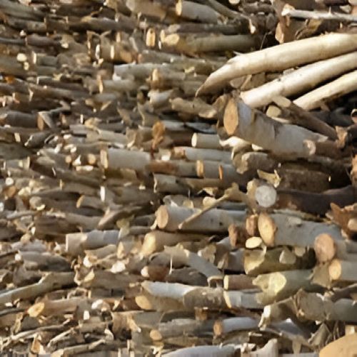 Dry Eucalyptus Firewood