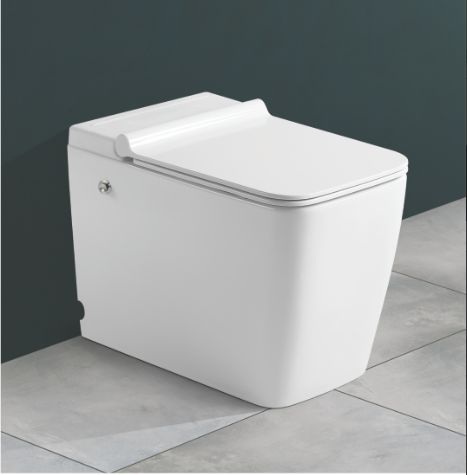 590mm x360mm x455mm Smart Toilet