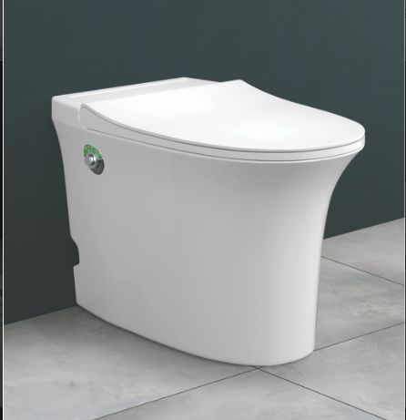 620mm x380mm x455mm Smart Toilet