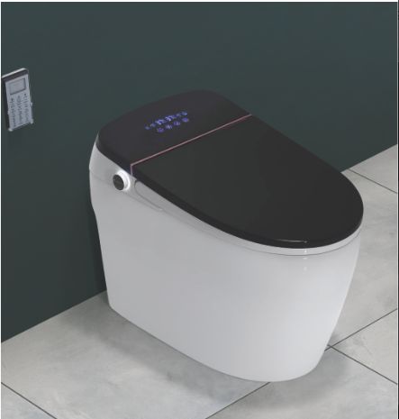 680mm x420mm x490mm Smart Toilet