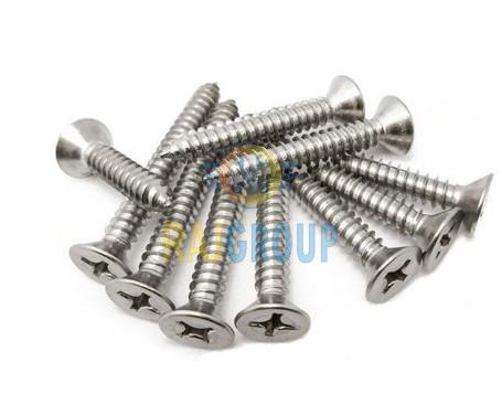 Stainless Steel Screw