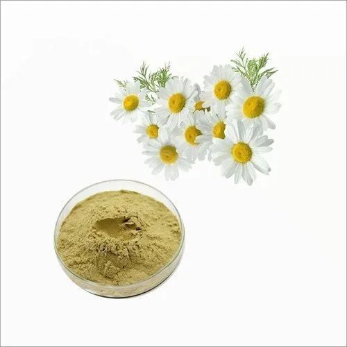 Dried Chamomile Flower Powder