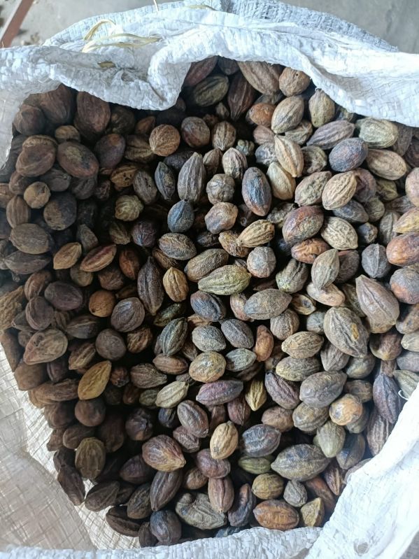 Dried Whole Haritaki Seeds