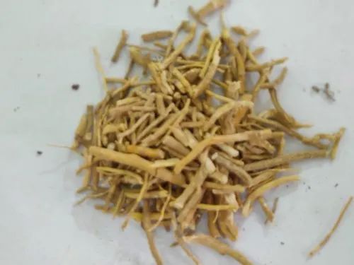 Dry Brahmi Roots