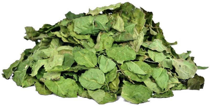 Dry Moringa Leaves