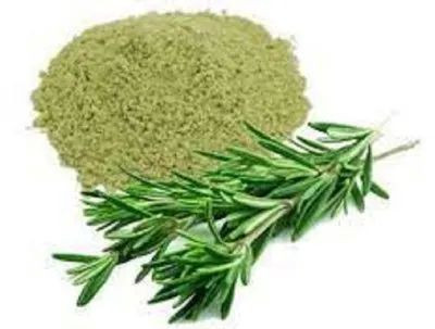 Rosemary Leaves Powder