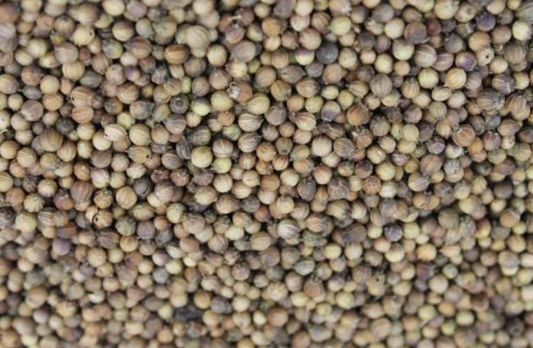 Ethiopian Coriander Seed