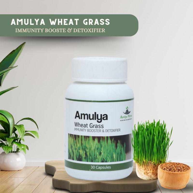 Amulya Wheat Grass Capsule