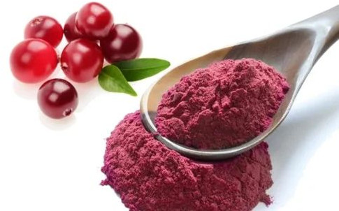 Spray Dried Cranberry Powder