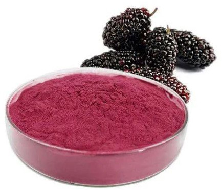 Spray Dried Mulberry Powder