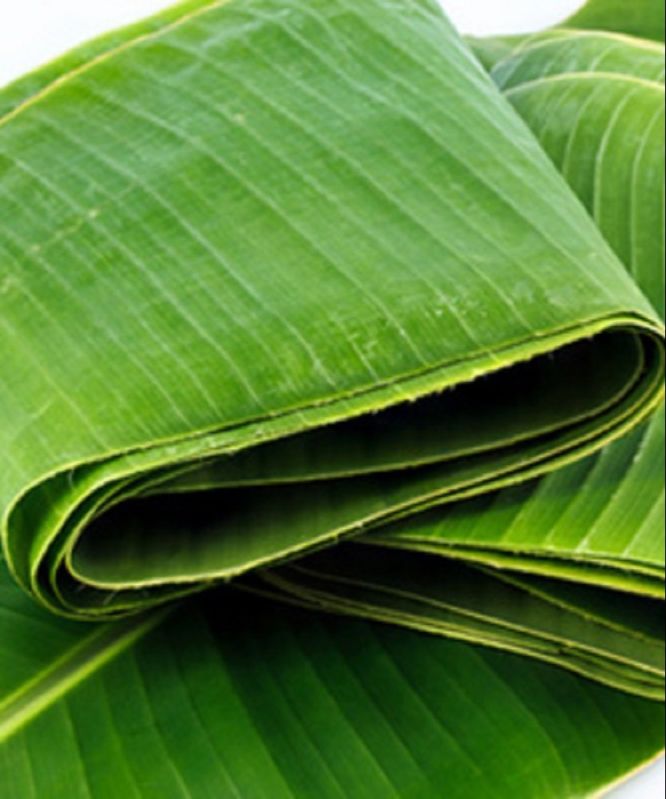 Fresh Banana Leaves