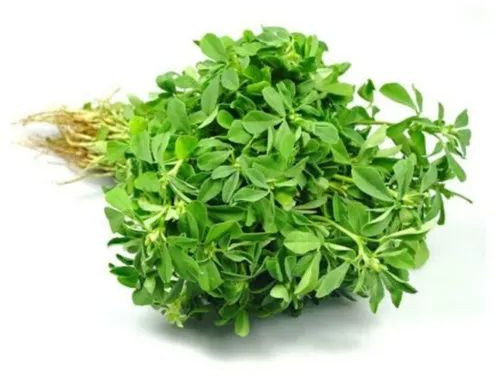 Fresh Fenugreek Leaves