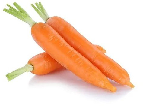 Fresh Carrot