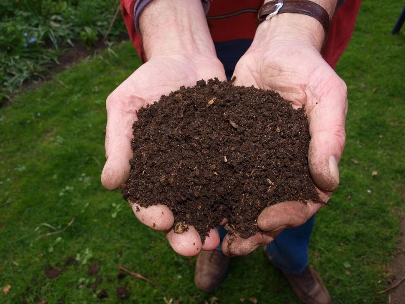 vermicompost fertilizer