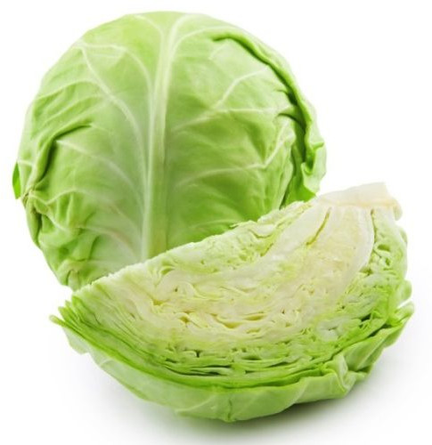 Fresh Cabbage