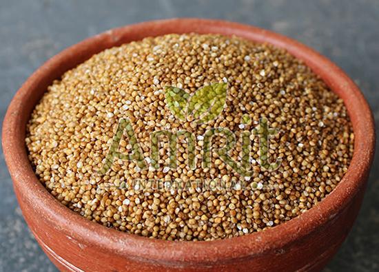 Barnyard Millet