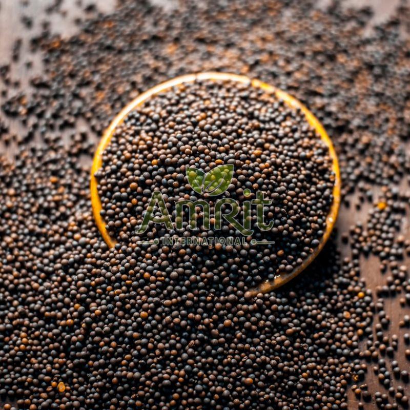 Black Mustard Seeds