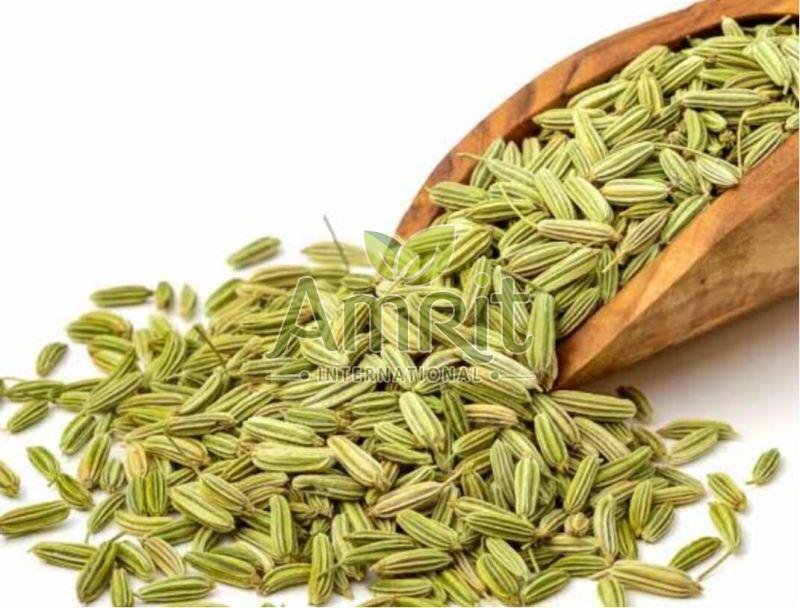Fennel Seeds