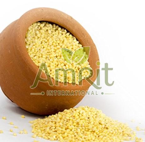Proso Millet