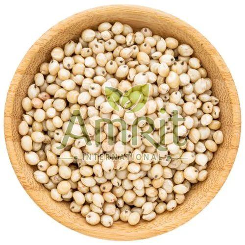 Sorghum Millet