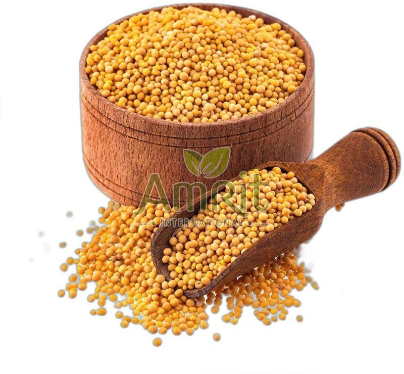 Yellow Mustard Seeds