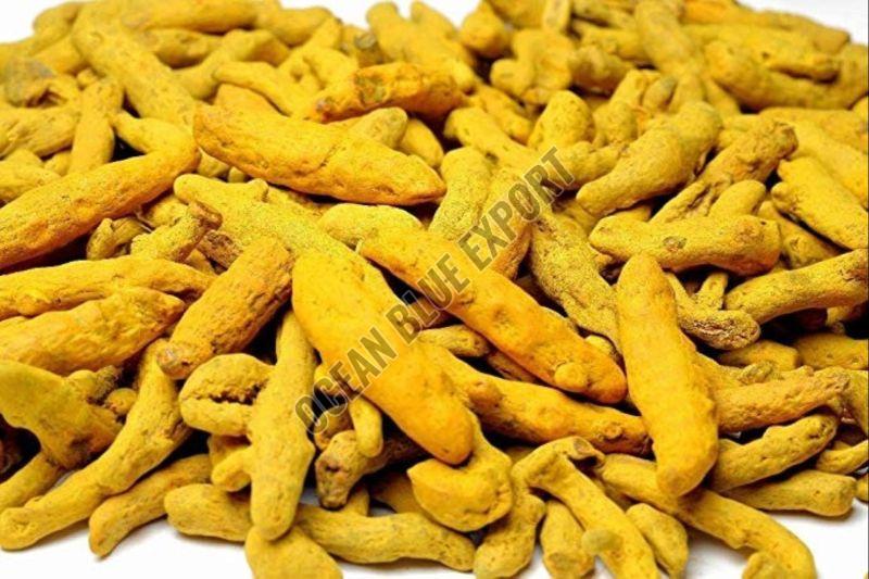 Organic Turmeric Finger