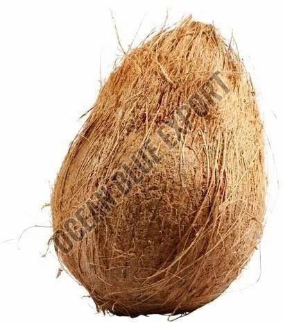 semi husked coconut