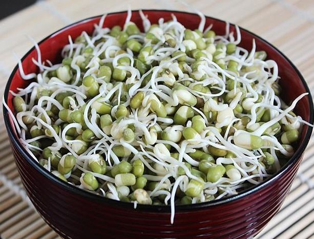 Bean Sprout