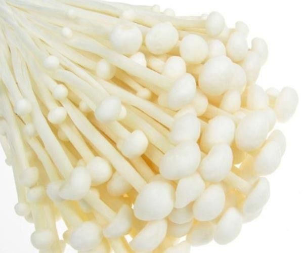 Fresh Enoki Mushroom