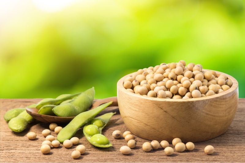 Soya Beans