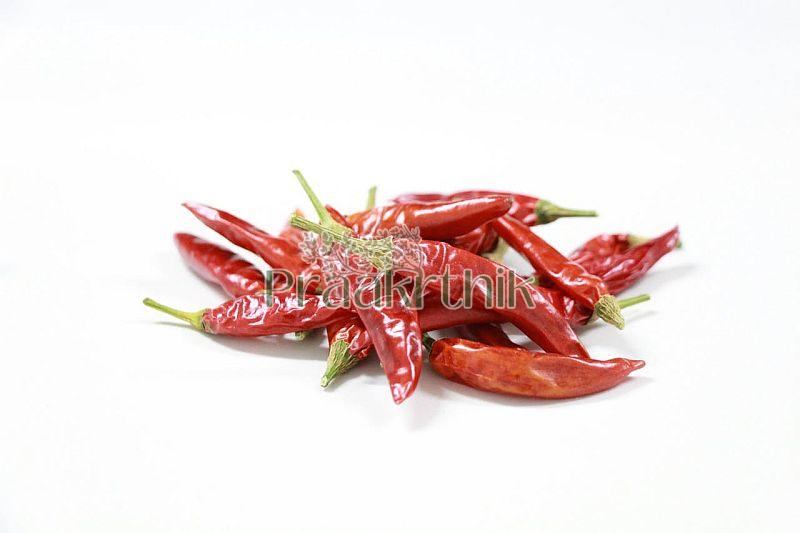 Dry Red Chilli