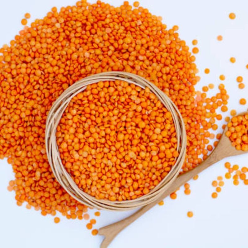 Australian Red Lentil