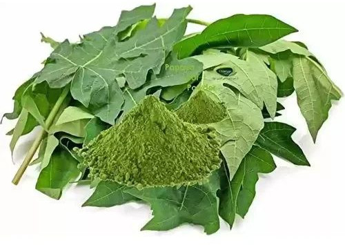 Natural Papaya Leaf Powder