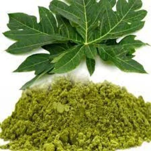 Organic Papaya Leaf Powder