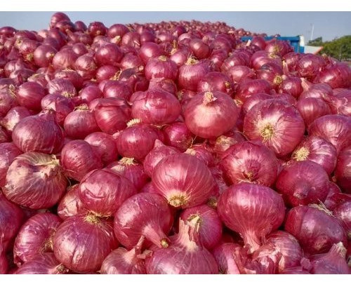 A Grade Fresh Red Onion