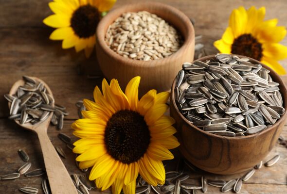 sunflower seeds