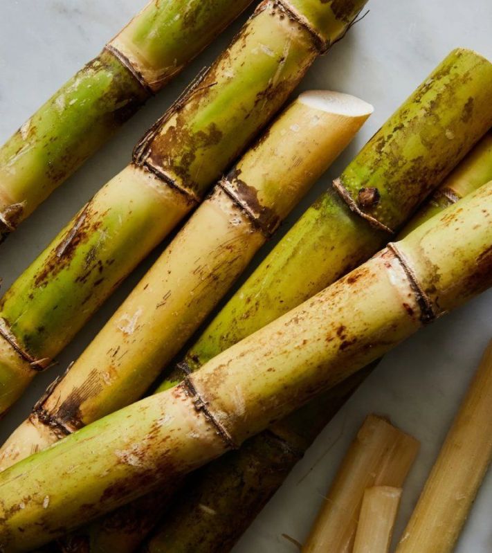 Fresh Sugarcane