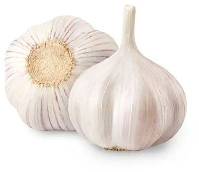 Fresh Garlic