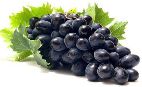 Fresh Black Grapes