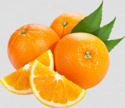 Fresh High Quality Orange