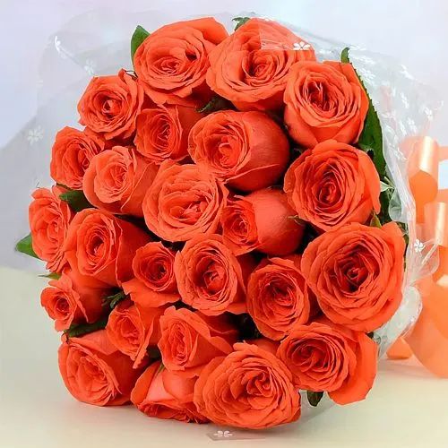 Orange Fresh Rose Flower