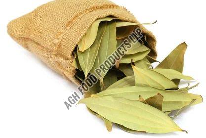 Bay Leaf