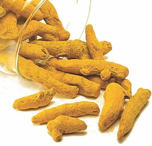 Yellow Turmeric Finger