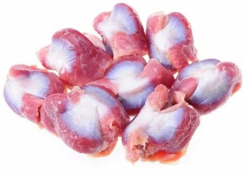 Fresh Frozen Chicken Gizzard