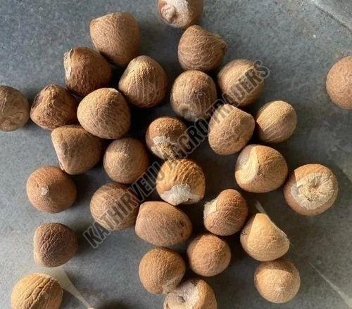 Whole Areca Nuts