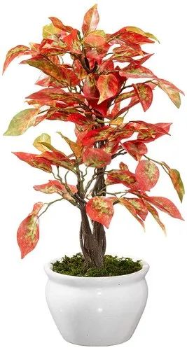 Artificial Red Ficus Bonsai Plant