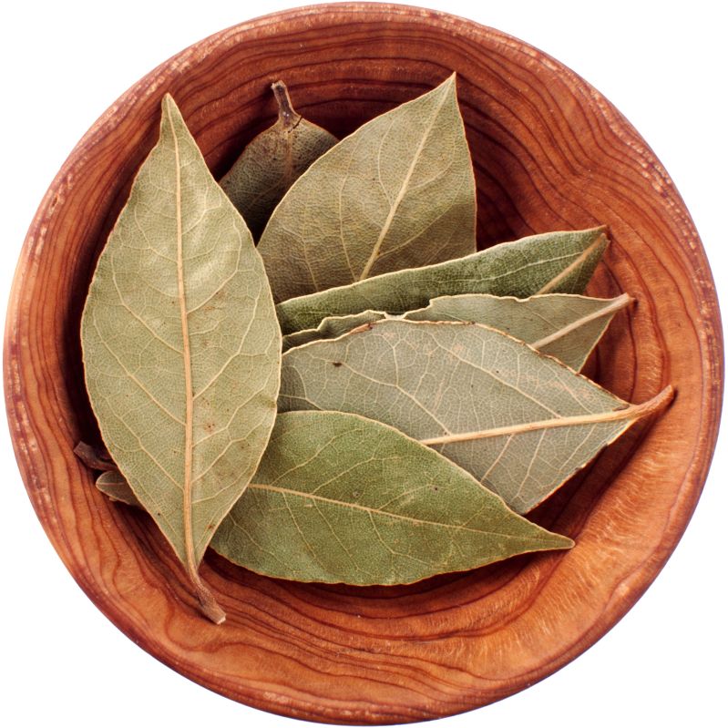 Bay Leaf