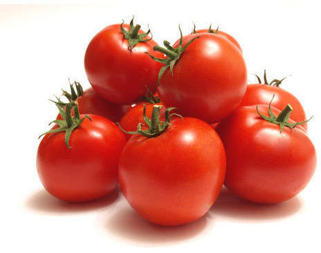 A Grade Fresh Tomato